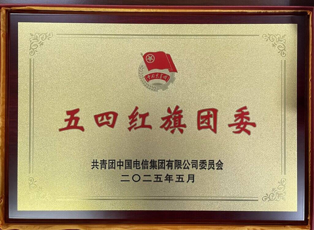 1761897003146656.jpg 圖1:公誠咨詢團(tuán)委獲表彰獎牌.jpg